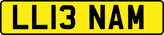 LL13NAM