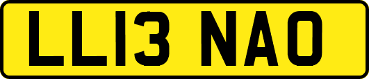 LL13NAO