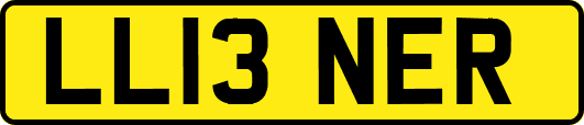 LL13NER