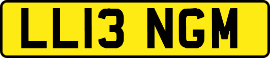 LL13NGM