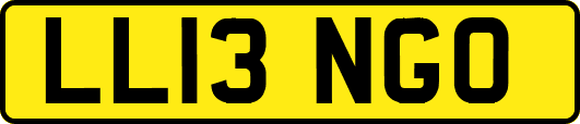 LL13NGO