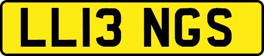 LL13NGS