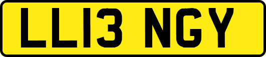 LL13NGY