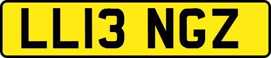 LL13NGZ