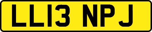 LL13NPJ