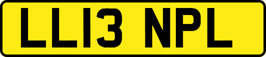 LL13NPL