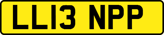 LL13NPP