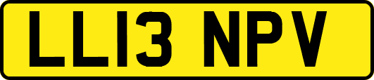 LL13NPV