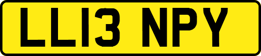 LL13NPY