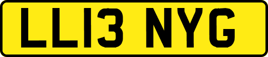 LL13NYG