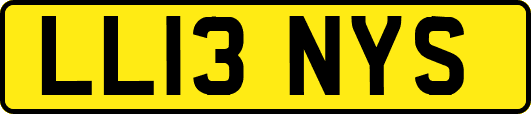LL13NYS