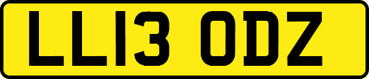 LL13ODZ