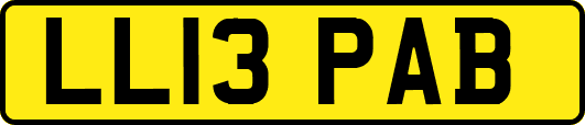 LL13PAB