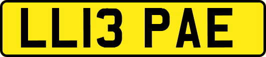 LL13PAE