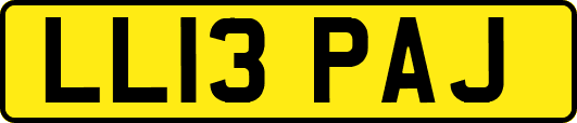LL13PAJ