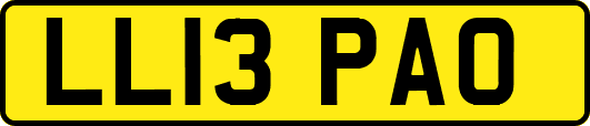 LL13PAO