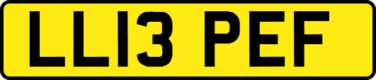 LL13PEF
