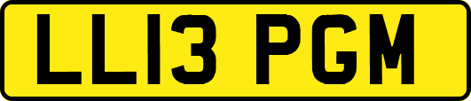 LL13PGM