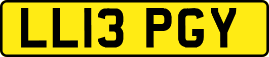 LL13PGY