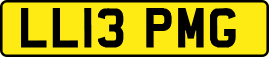 LL13PMG