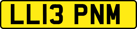 LL13PNM