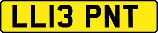 LL13PNT