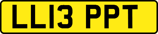 LL13PPT