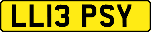 LL13PSY