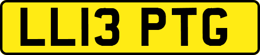 LL13PTG