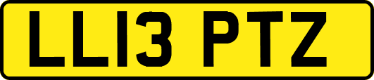 LL13PTZ