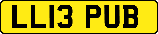 LL13PUB