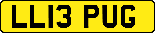 LL13PUG