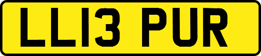 LL13PUR
