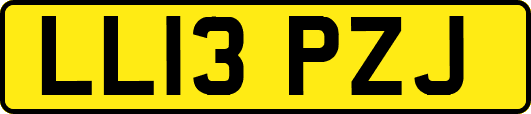 LL13PZJ
