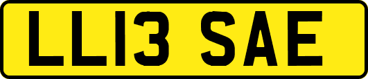 LL13SAE