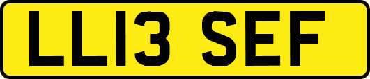 LL13SEF