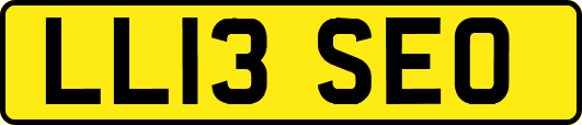 LL13SEO