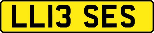 LL13SES