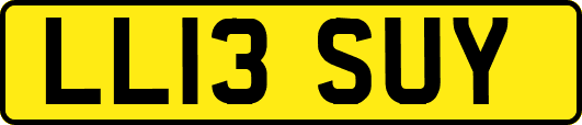 LL13SUY