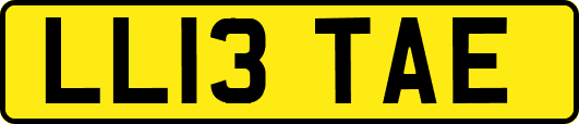 LL13TAE