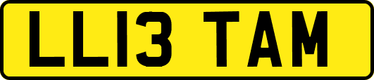 LL13TAM