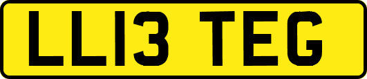 LL13TEG
