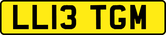 LL13TGM