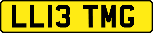 LL13TMG
