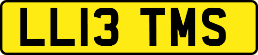LL13TMS