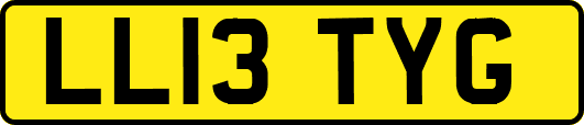 LL13TYG