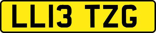 LL13TZG