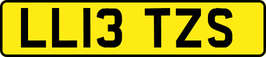 LL13TZS