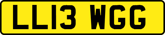 LL13WGG