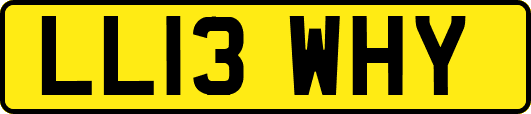 LL13WHY